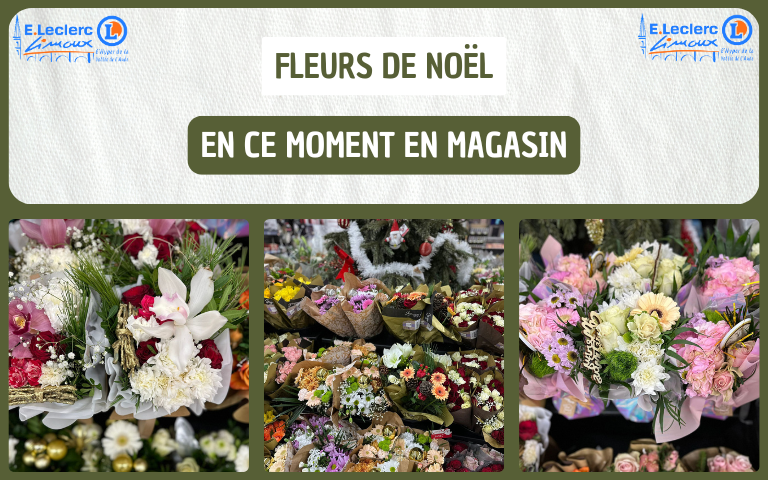 RETROUVEZ EN MAGASIN LES FLEURS DE NOËL