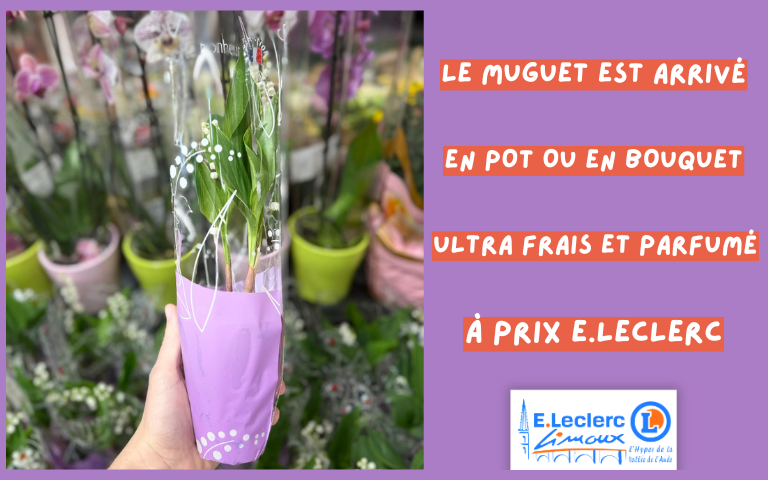 LE MUGUET A PRIS SES QUARTIERS DANS NOS RAYONS ! RDV EN MAGASIN