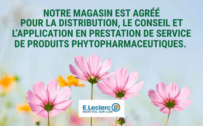 https://pages.mailing.leclerc/chateau-du-loir/agrment-phytopharmaceutiques