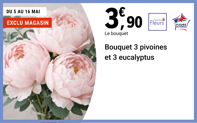 Du 5 au 16 mai, 3 euros 90 sur Bouquet 3 pivoines et 3 eucalyptus