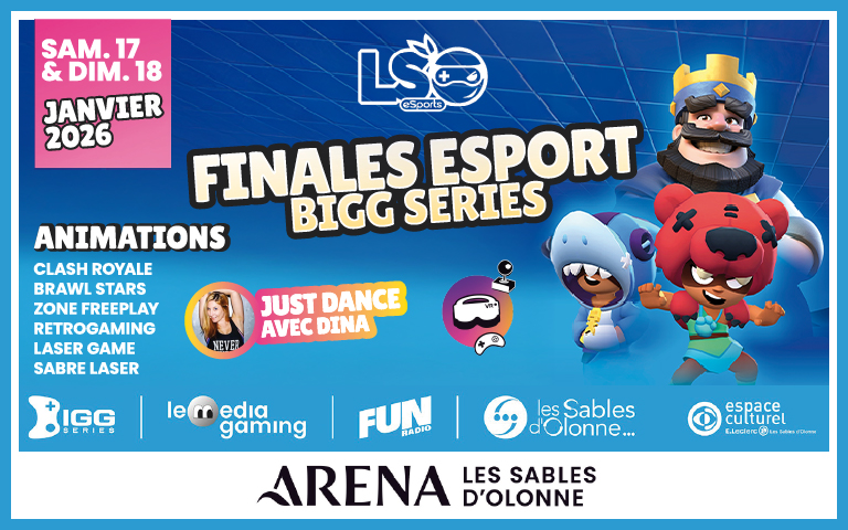 Samedi 17 et dimanche 18 janvier 2026. Finales esports bigg series à l'arena des sables avec des animations et just dance avec Dina.