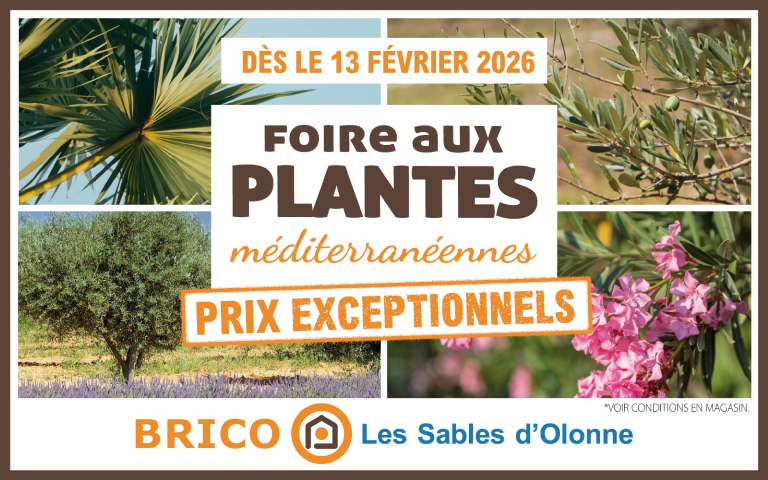 Foire aux plantes méditerranéennes - dès le 13 février - prix exceptionnels