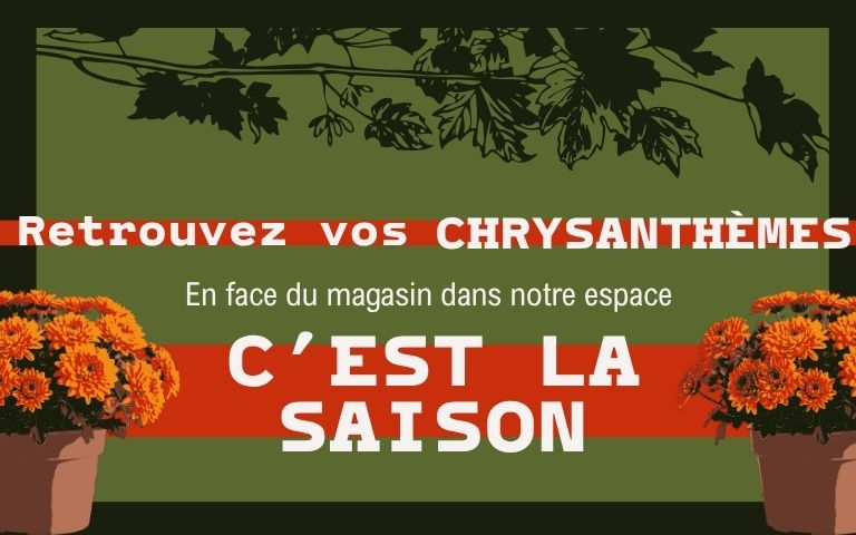 chrys
